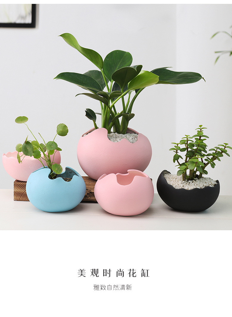 Contracted and creative move other copper grass green plant hydroponic flower pot fleshy retro desktop water flowers exchanger with the ceramics basin