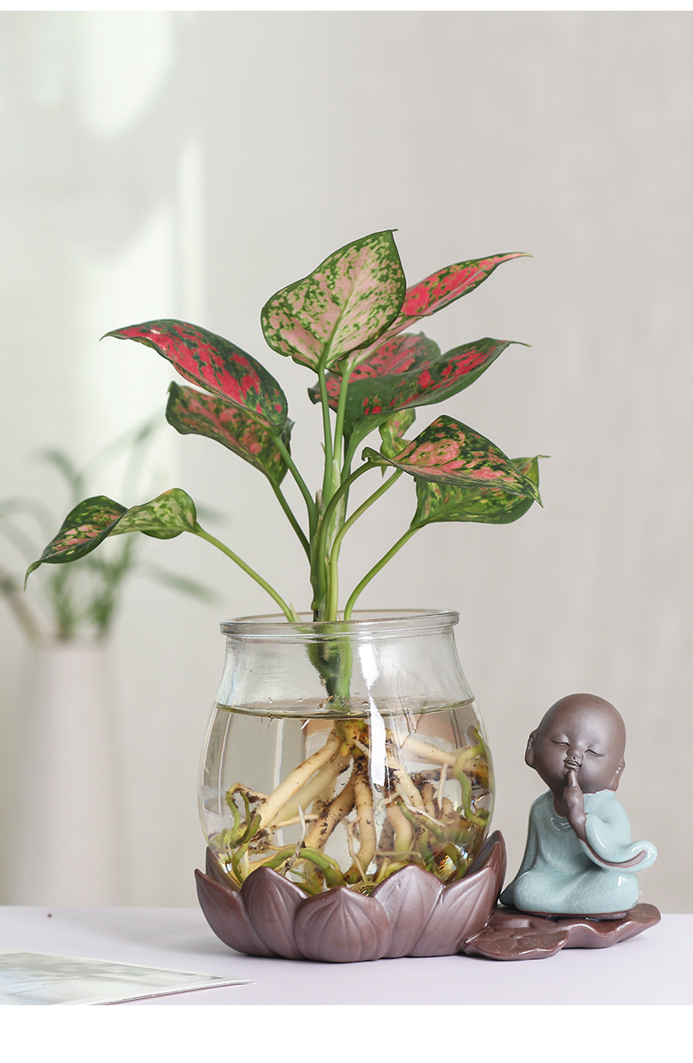 Classical the young monk flower implement home furnishing articles creative move anthurium ceramic vase hydroponic flower pot container