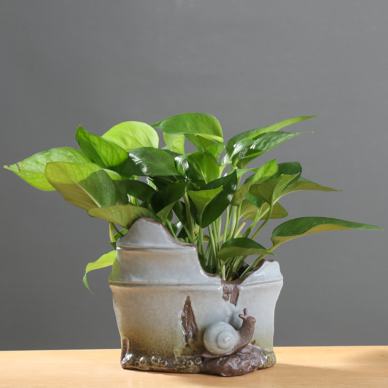 Chinese ceramic flower pot creative move money cooper plant grass special pot asparagus indoor potted flower implement furnishing articles