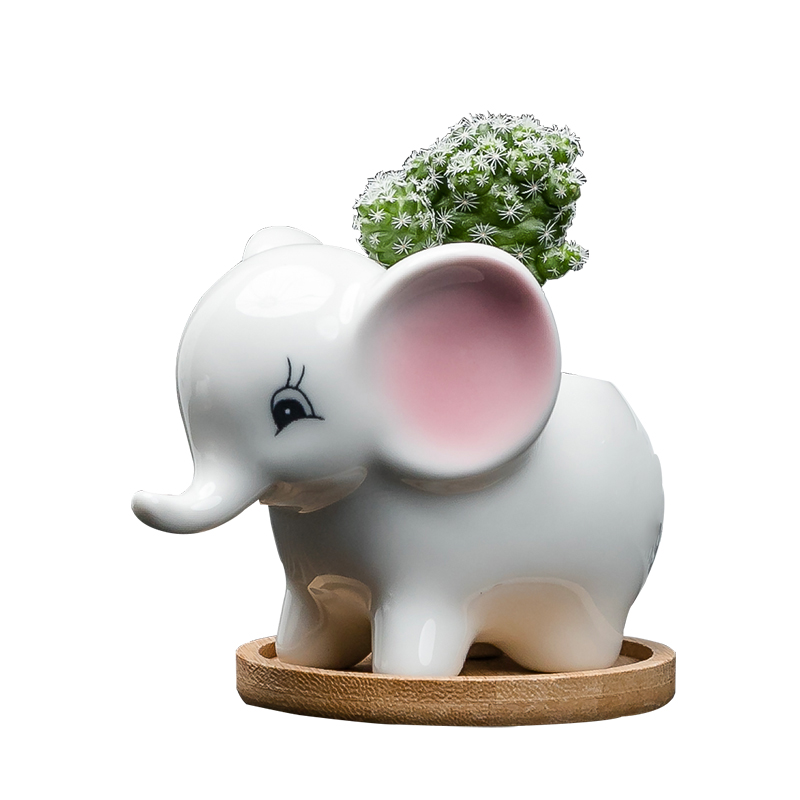 Contracted white cartoon animal meat flowerpot more creative ceramic trumpet with tray desktop celestial being plant POTS