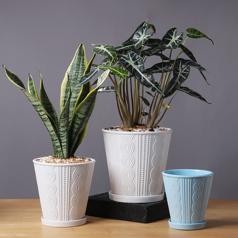 Nordic contracted flowerpot ceramic large clearance of creative move more than other meat home orchid flower POTS with pallets