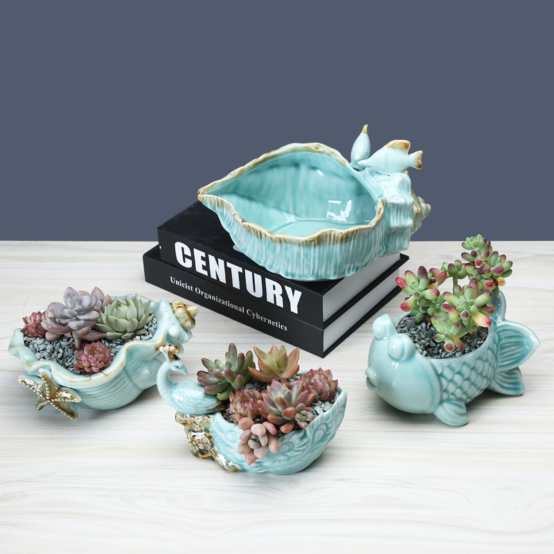 Fleshy flower pot is creative move northern wind medium caliber pot the plants thumb ceramic special offer a clearance