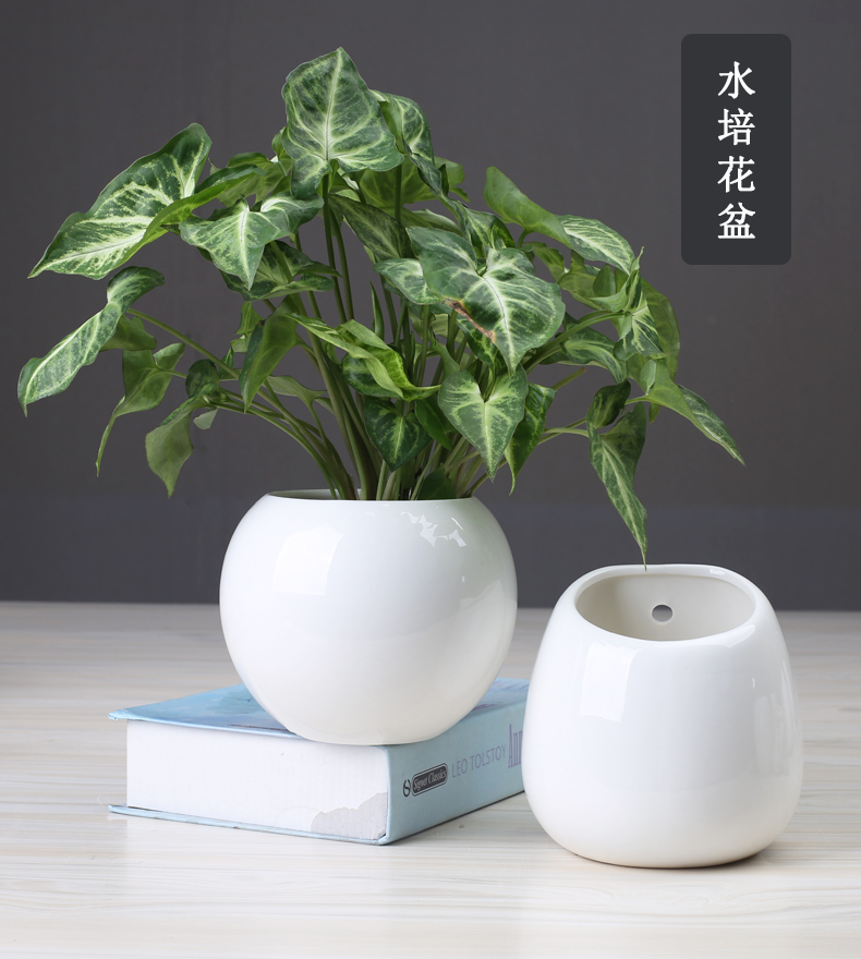 铜钱草水培花盆创意绿萝专用陶瓷花瓶清仓简约水仙花水养壁挂花盆 景德镇名瓷在线 铜钱草水培花盆创意绿萝专用陶瓷花瓶清仓简约水仙花水养壁挂花盆 景德镇名瓷在线
