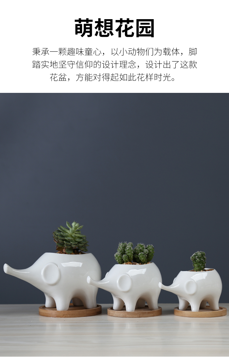 White cartoon fleshy flowerpot ceramic move to the desktop decorative the plants and animals elephants spend with tray