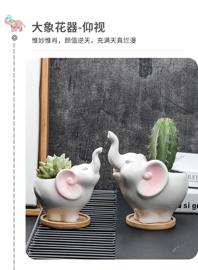 Contracted white cartoon animal meat flowerpot more creative ceramic trumpet with tray desktop celestial being plant POTS