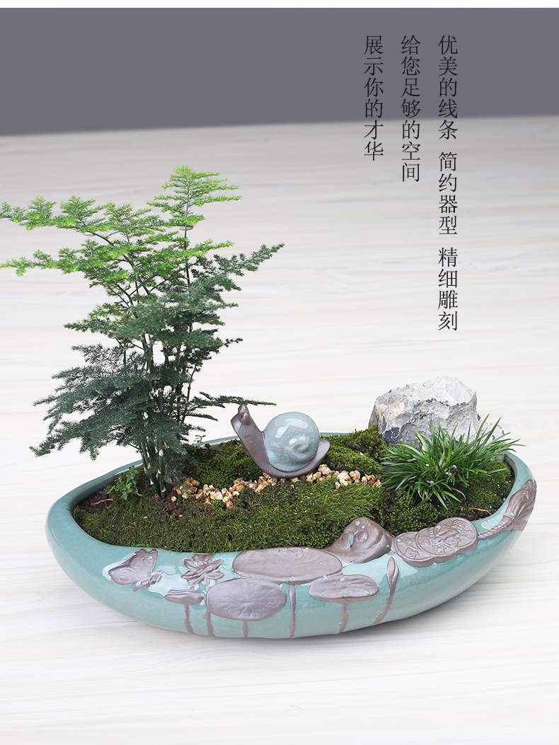 Little flowerpot ceramic creative move Chinese wind asparagus rich tree pot to restore ancient ways more meat shallow basin large clearance