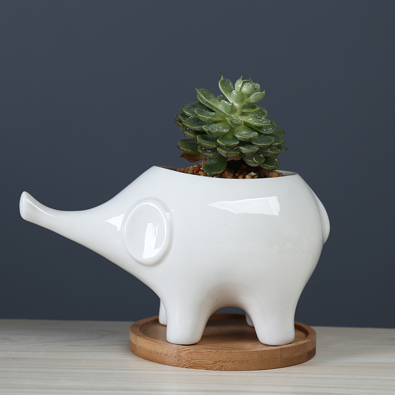White cartoon fleshy flowerpot ceramic move to the desktop decorative the plants and animals elephants spend with tray