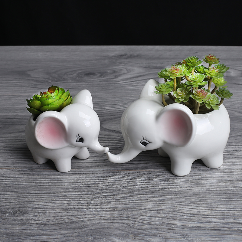European contracted sitting room of indoor the plants flower pot home creative move and lovely cartoon ceramic flowerpot flower implement more meat