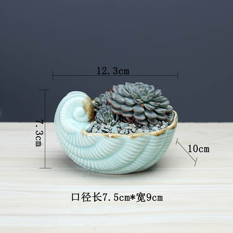 Fleshy flower pot is creative move northern wind medium caliber pot the plants thumb ceramic special offer a clearance