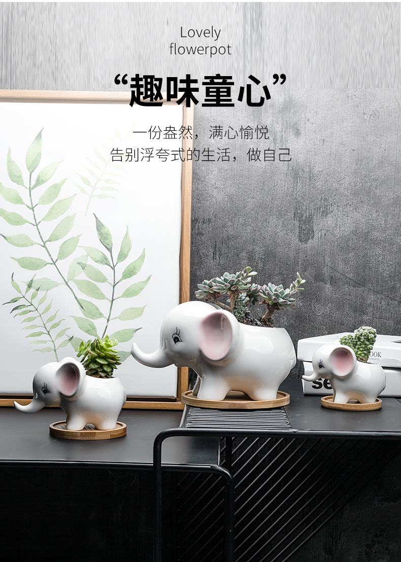 Contracted white cartoon animal meat flowerpot more creative ceramic trumpet with tray desktop celestial being plant POTS