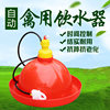 Automatic drinking water maker for breeding chickens, ducks and geese