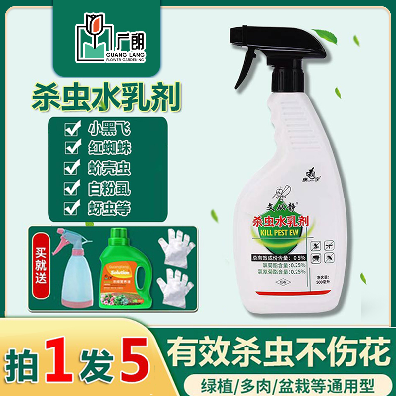 Insecticides, flowers, plants, flowers and grasses, general red spiders, scale insects, special aphids, insecticides, succulents, household insecticides