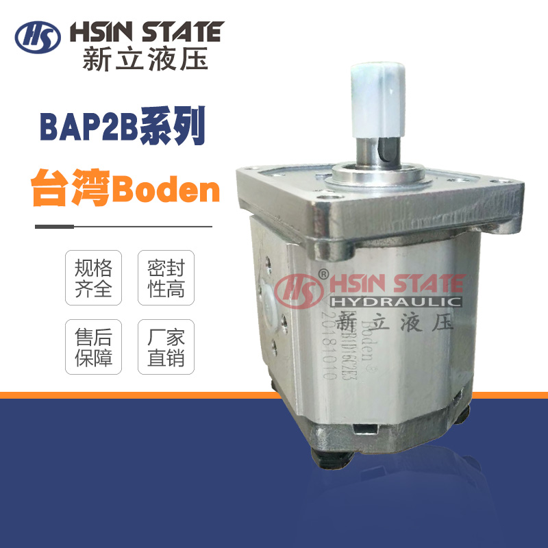 Boden Gear Pump BAP2B1D16C2E3 D10 D12 D14 D18 D20 D25 D28 D30C2E3