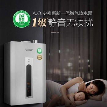 Smith Water Heater Is Quiet, Fast-Heating, Durable, Small, Energy-Saving, and Environmentally Friendly for Home Use, Gas Water Heater Jsq31-Cscx