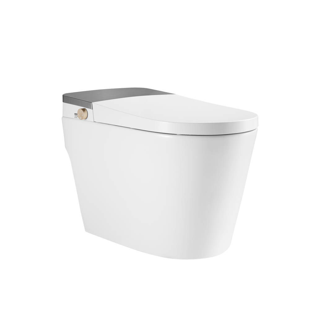 Wave whale bathroom fully automatic intelligent toilet in one integrated, heat electric flushing drying multi - functional household ICO 551