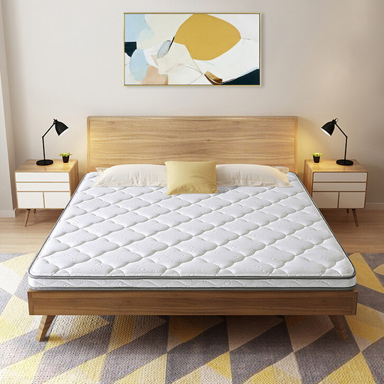 Qingshi Haima Thin Brown Mat Natural Eco-Friendly 3E Coconut Palm Mattress Spine Protection Home Bedroom Student Tatami Mat