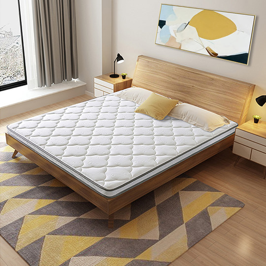 Qingshi Haima Thin Brown Mat Natural Eco-Friendly 3E Coconut Palm Mattress Spine Protection Home Bedroom Student Tatami Mat