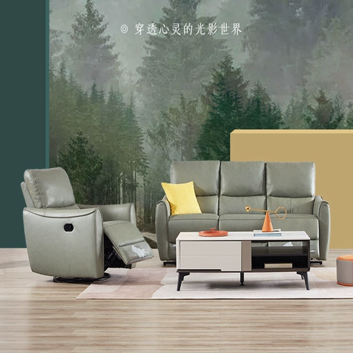 Семейный универсальный диван, кожаный электрический комплект, из натуральной кожи, воловья кожа