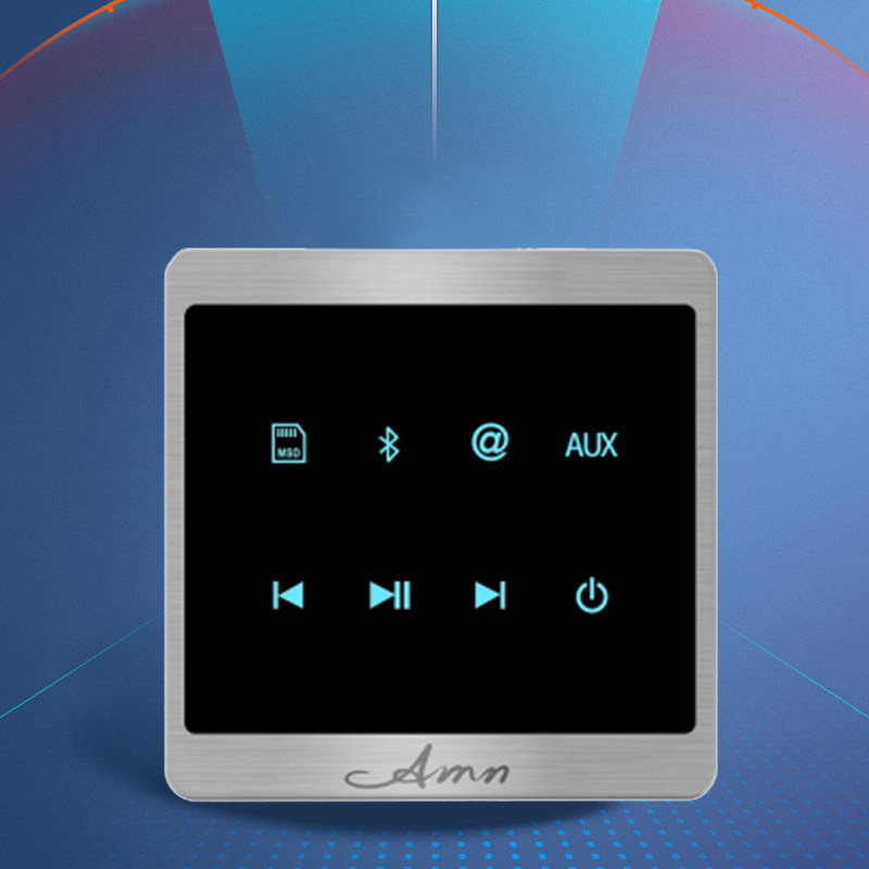 Amina Smart Background Music G5B-1 0 Suit Invisible Sound High-end Atmospheric Background Music System