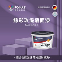Latex paint imported from Germany Whale Color Meiti wall paint 5L white 5L