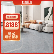 The same style as the Red Star store 8188 yuan for whole house tiles Dongpeng tiles living room floor tiles (privilege is not real)