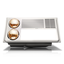 Bathroom multifunctional heater