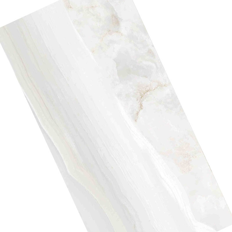 Nobel household economical modern minimalist net red popular casual light luxury wall and floor tiles RT619127