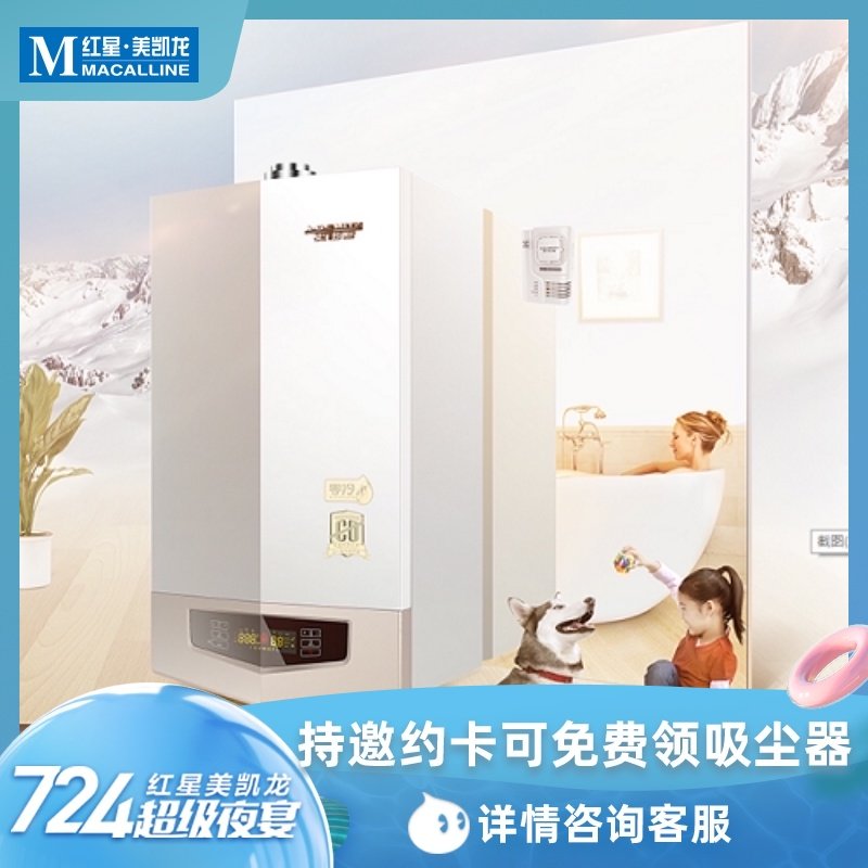 Smith Gas Water Heater Heating Stove Wall-Mounted Stove for Home Use, Natural Gas, Liquefied Gas, Constant Temperature, Forced Exhaust Type