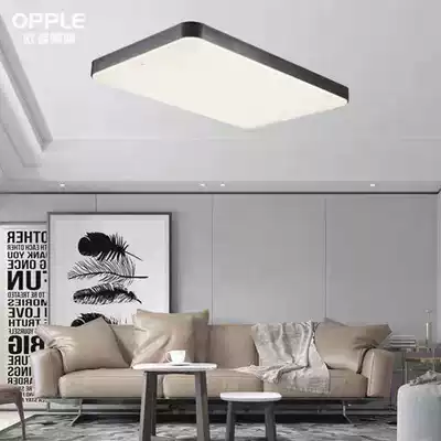 Ople Opal lighting living room lamp LED ceiling lamp Nordic modern simple living room bedroom study dining room