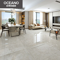 Oceano tiles Mocha ELN10880S living room dining room kitchen bathroom 800x800 floor tiles wall tiles background wall