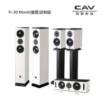 CAV Fi-30 Morel(魔雷)定制版5 0家庭影院音响