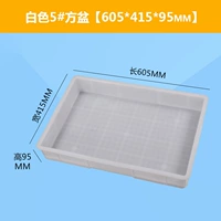 5#клык Панбай