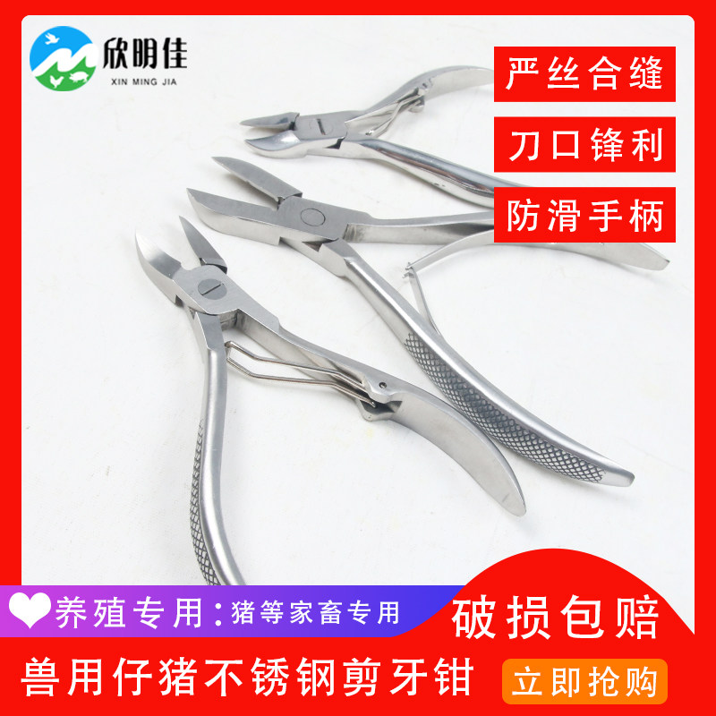 Suckling Pig Cut Teeth Pliers Cut Mouth Pliers Pig Teeth Pincers Stainless Steel Beasts With Cut Teeth Pliers Small Pig Cut Teeth Pliers For Pig Equipment Supplies