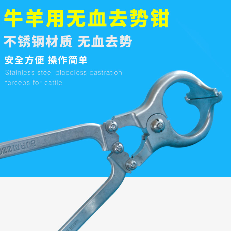 Cattle used to snobler Pliers Bull stainless steel clip Egg Pincer Bull used to snobler Castration Pliers Scalpers Breeding