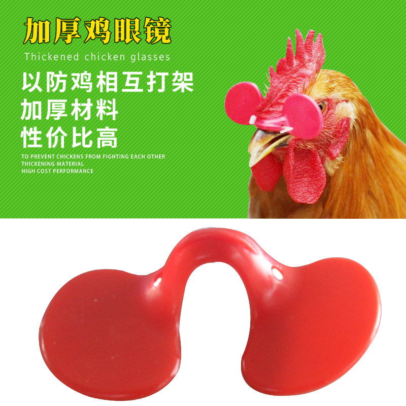 Chicken glasses anti-pecking eye mask, medium-size chicken eyes, anti-fight pheasant wearing glasses chicken equipment