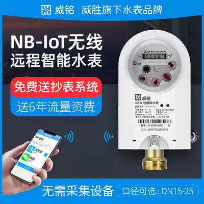 Changsha Weisheng Weiming remote water meter prepaid smart water meter home rental room wireless remote meter reading 46 points