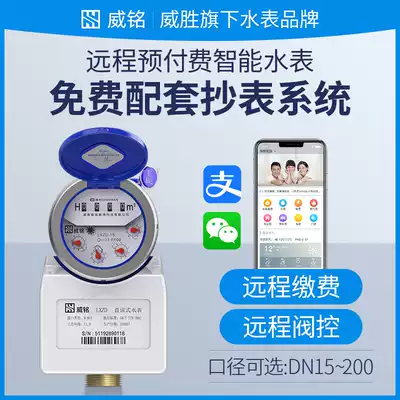 Weisheng Weiming intelligent remote transmission Prepaid water meter remote meter reading household rental housing Civil factory water meter