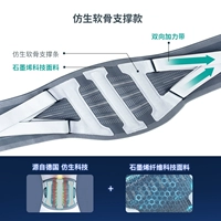 [Медицинский класс] Модель схемы поддержки бионического хряща