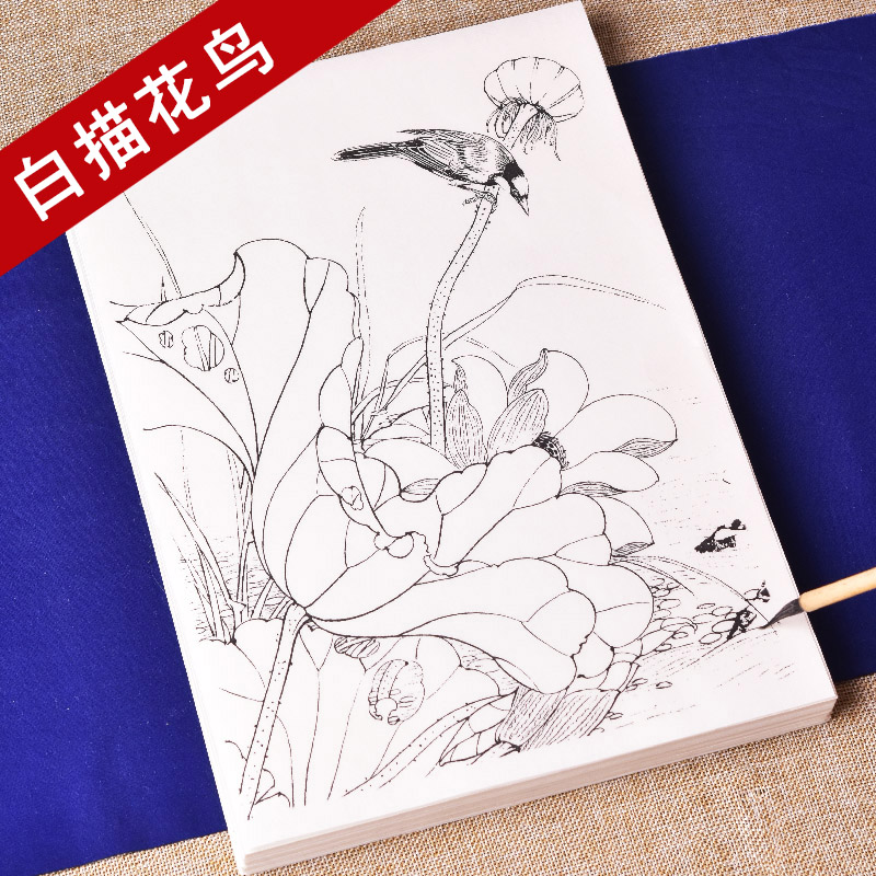 Zhen Yan Gong Stroke White Drawing Base Copy Large Flower bird picture album Bird Magpie Hand Drawn Line Drawing Beginner Introductory Textbook Finished Special Practice Cooked Rice Paper Outline Line Drawing Spectrum Chinese Painting can be colored