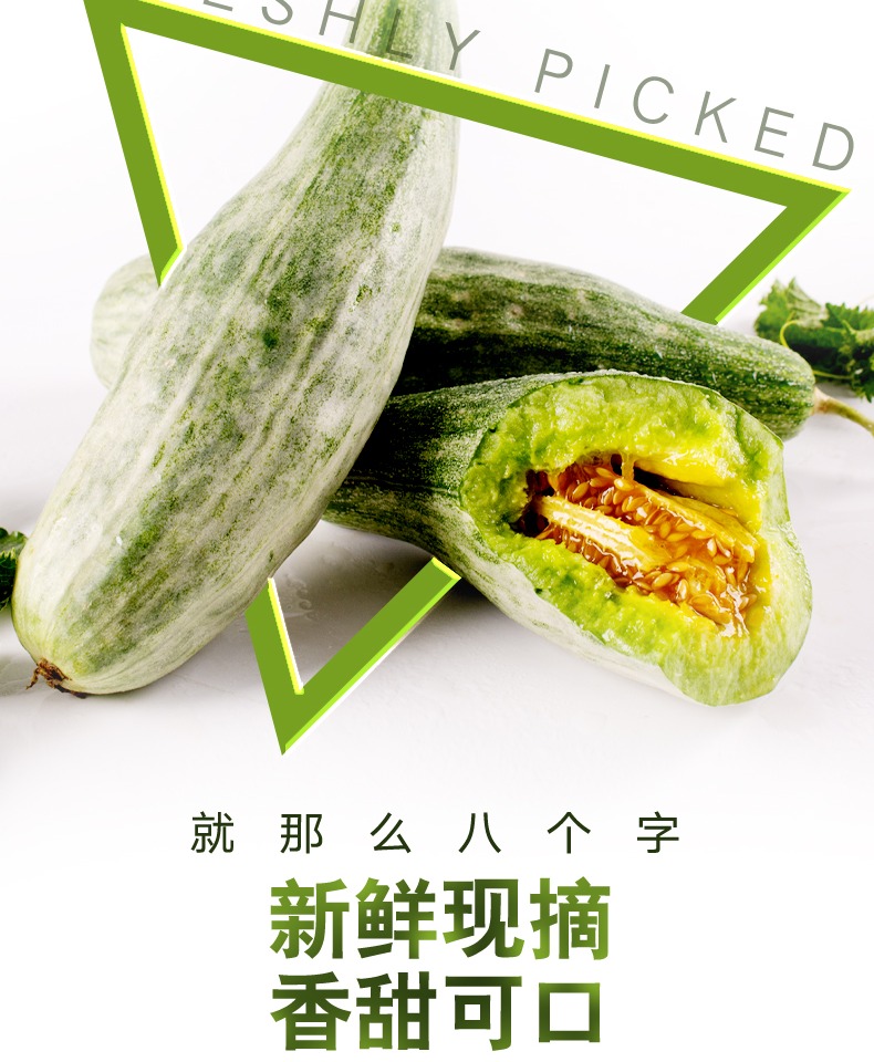 【顺丰包赔】净重5斤新鲜山东羊角蜜