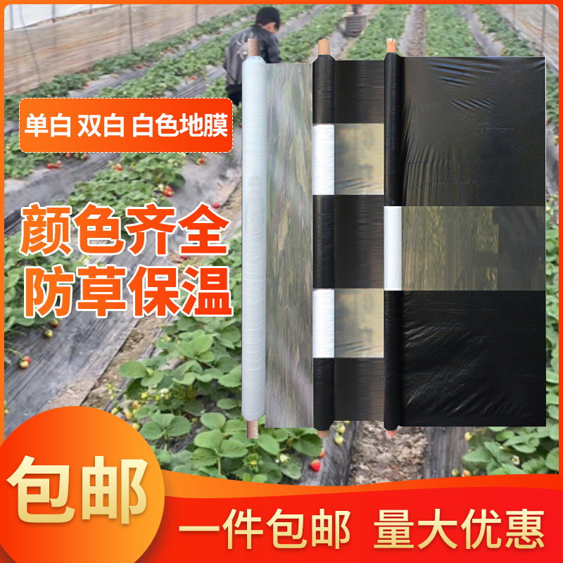Single white mulch film agricultural black and white two-color film insulation moisturizing weeding film silver black reflective film fruit tree vegetable greenhouse