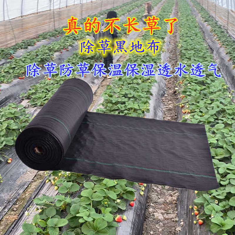 Anti-grass cloth weeding cloth durable water-proof ground cloth Orchard fruit tree agricultural greenhouse unwoven cloth cover grass cover grass cloth cushion