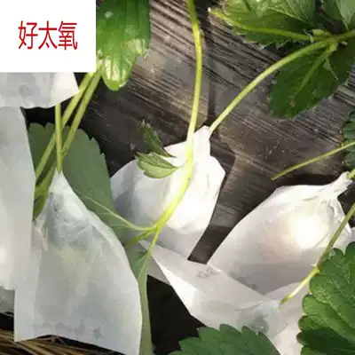 Bag portable fruit bag waterproof paper pear fig 2019 bag loquat fruit bag