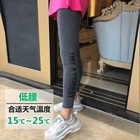 Весна и осенняя боковая буква Deep Grey [низкая талия]