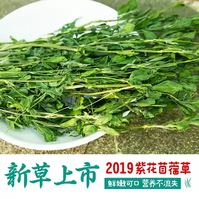 2019 New grass Alfalfa Pet rabbit eat grass lop rabbit food Feed supplies Rabbit hay rabbit food