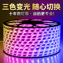 Light strip LED light strip three-color dimming discoloration with living room household ceiling decoration outdoor waterproof 220V light strip