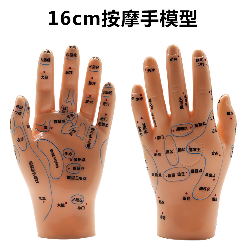 [USD 9.14] May Junkang Human Body Hand Model Massage Hand Acupuncture ...