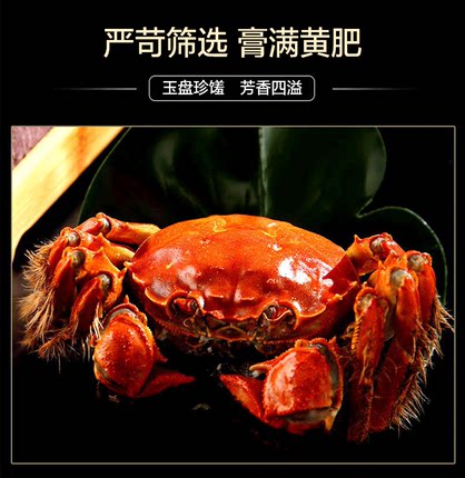 百货50条，全部是实用的玩意儿（ 09.03）