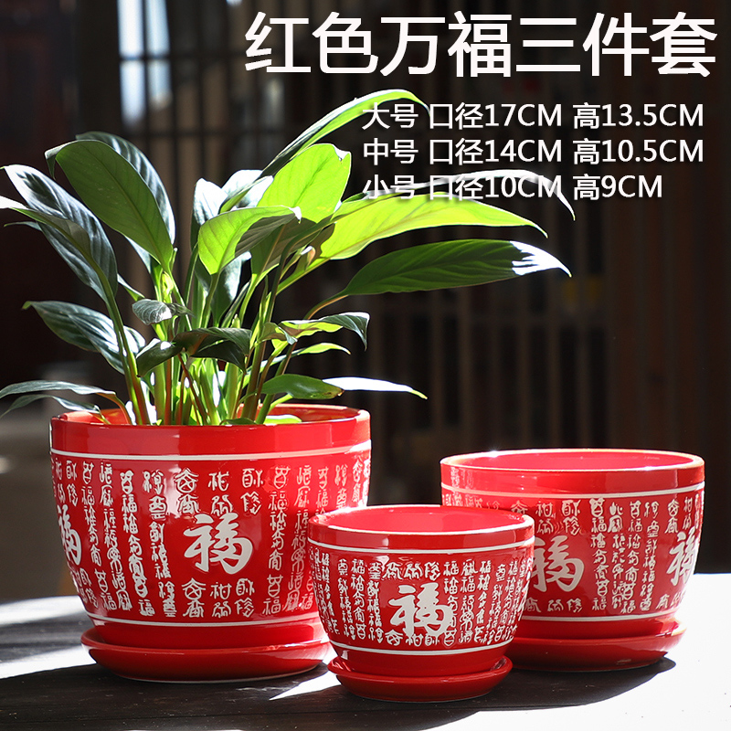 Red flower POTS ceramics creative move contracted large butterfly orchid with tray other flesh fleshy flower pot the plants