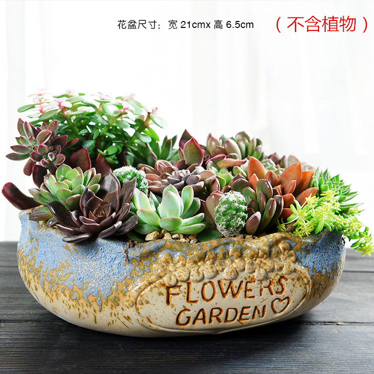 Large diameter thick fleshy plant flower POTS with a hole, ceramic green plant contracted creative platter ceramic Large diameter fleshy flower pot